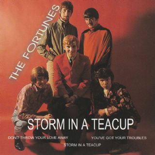 CD The Fortunes - Storm In A Teacup