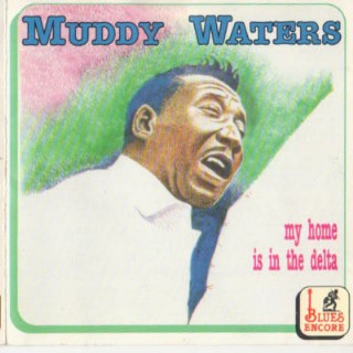 CD Muddy Waters - My Home Is In The Delta