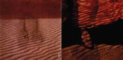 CD Acoustic Alchemy - Red Dust e Spanish Lace