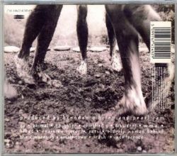 CD Pearl Jam - Vs
