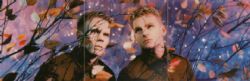 CD Erasure - Wild!
