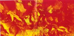 CD Inclined - Bright New Day