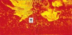 CD Inclined - Bright New Day