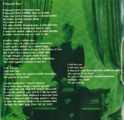 CD Sting - Brand New Day