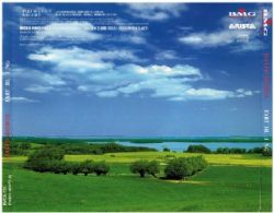 CD David Bowie - Earthling